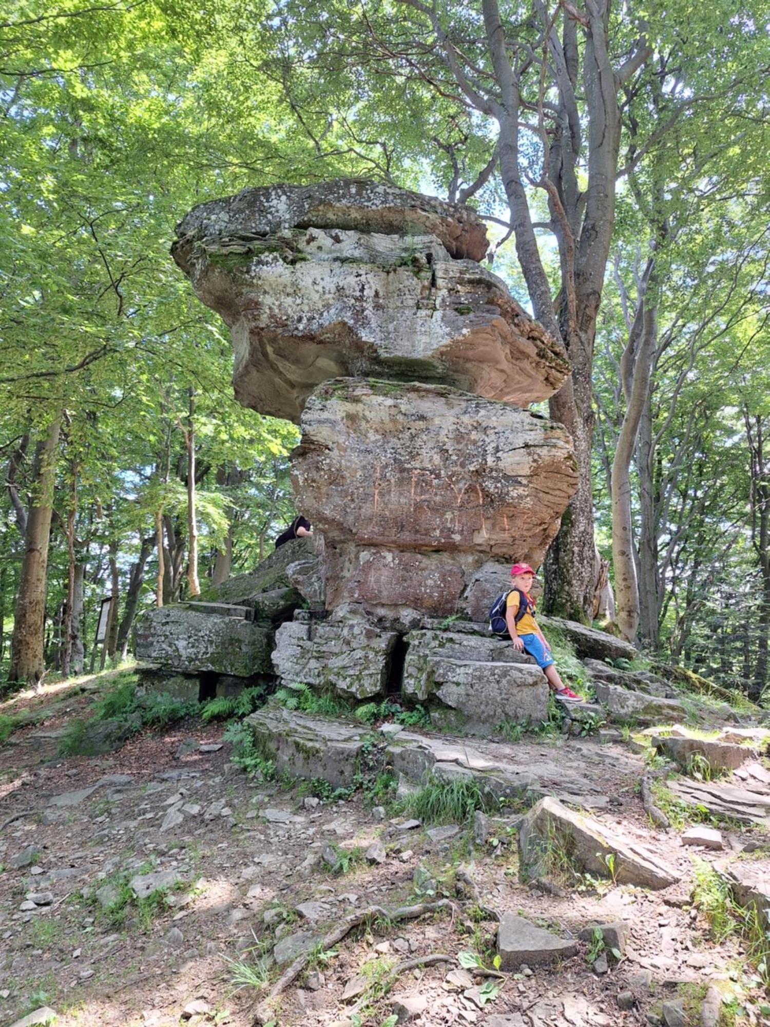 Dom Goscinny Dudek Krynica-Zdrój Exterior foto
